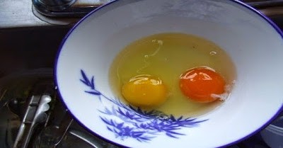 Perbedaan warna kuning telur 