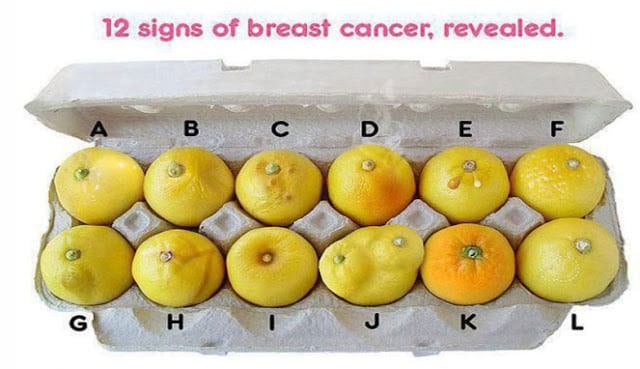 Ilustrasi kanker payudara melalui buah jeruk