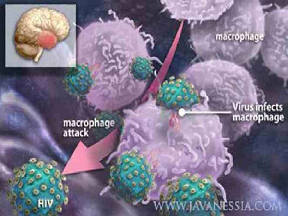 Perbedaan virus dan bakteri