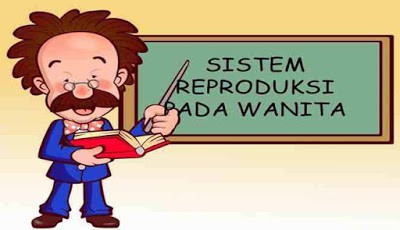 Sistem reproduksi pada wanita