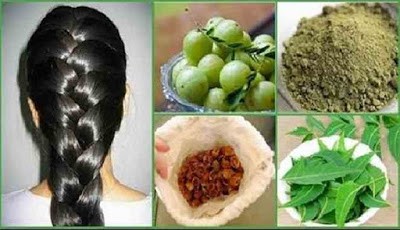 Minyak herbal penumbuh rambut