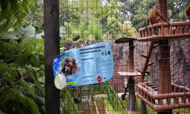 Kebun Binatang Bandung Zoo
