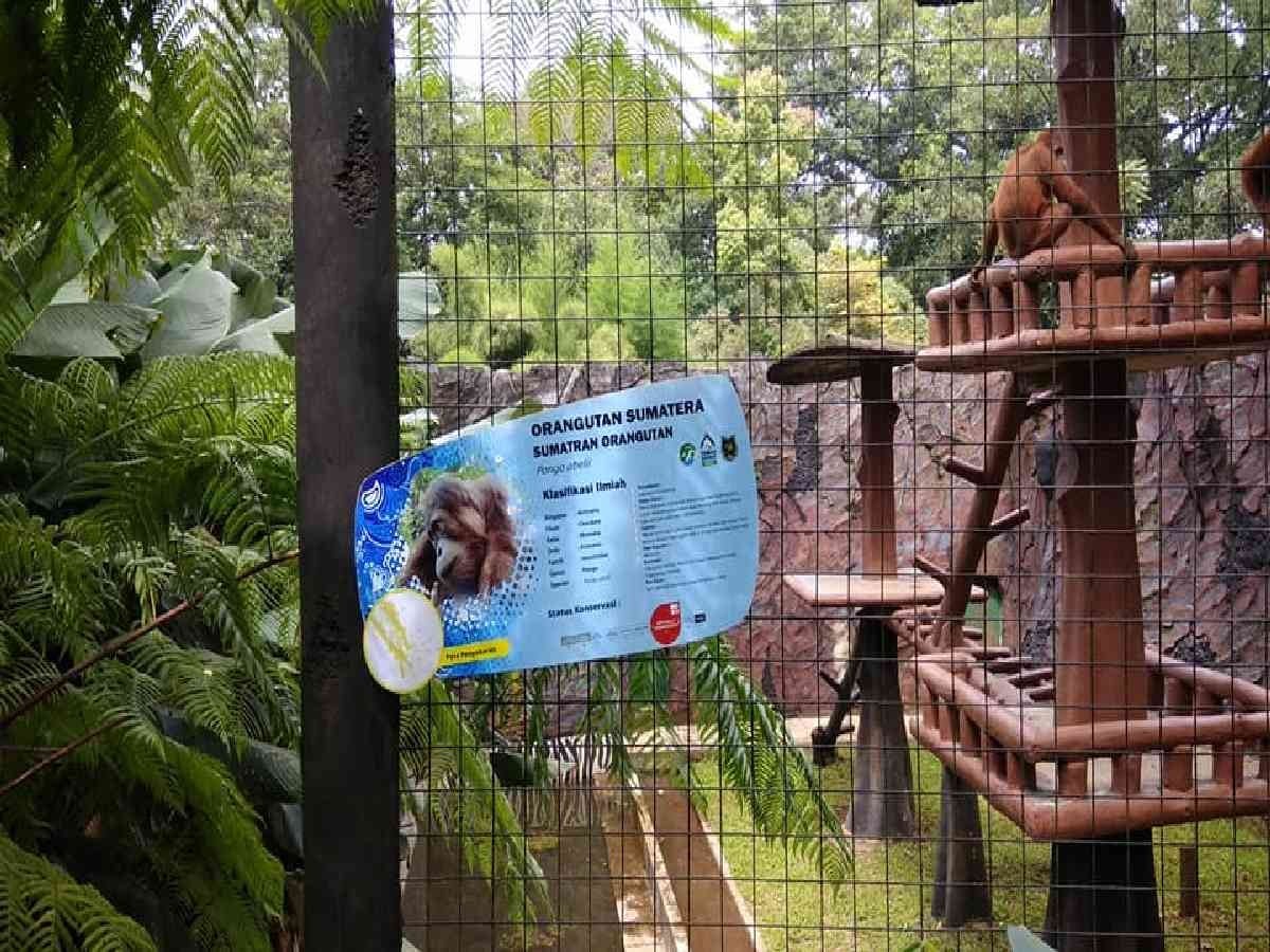 Kebun Binatang Bandung Zoo
