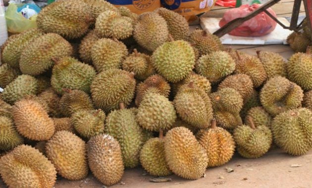 Buah durian