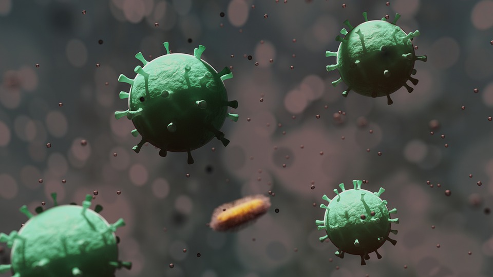 Gambar bakteri virus